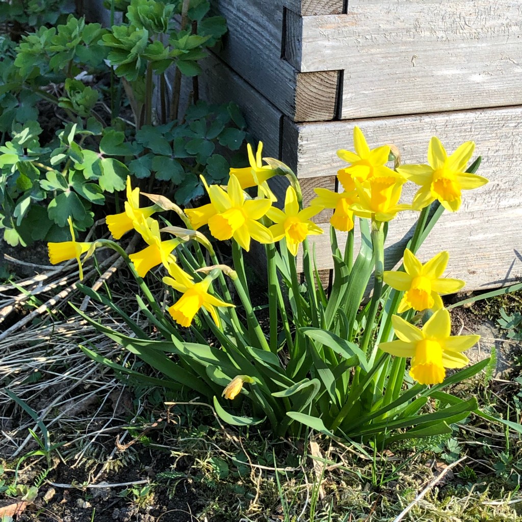 Tete-a-tete