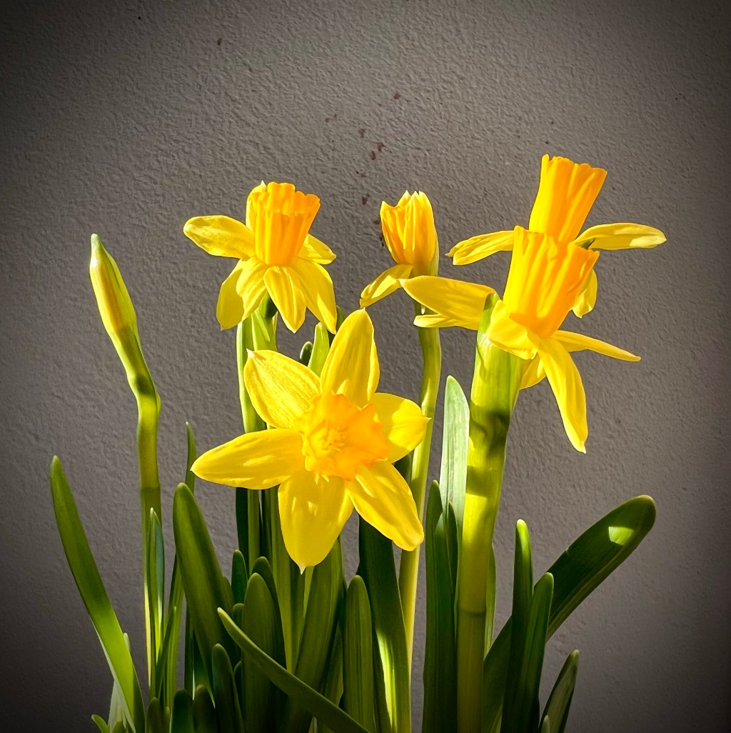 Tete-a-Tete